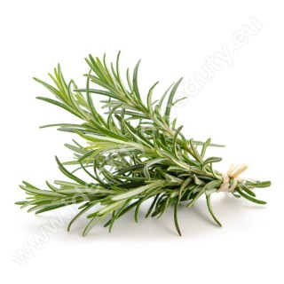 Aromastoff für emotionale Duschen - Scottish Pine